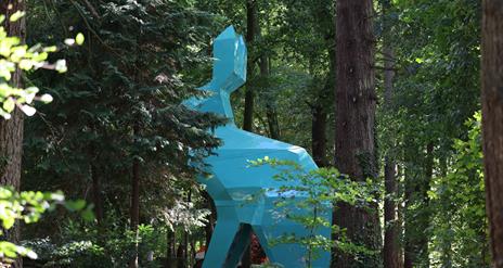 Side view of Peep the Hare through trees in Hillsborough Forest Park