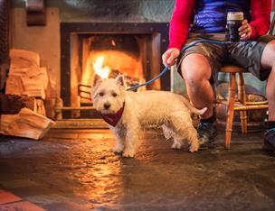 Dog in front of fireplace in Irish pub