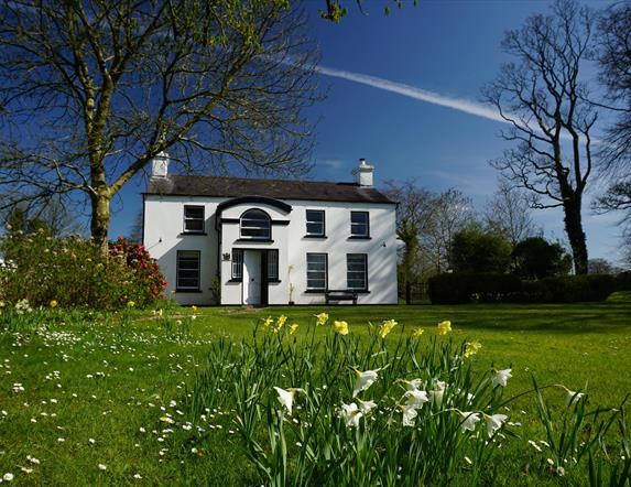 Spring time at The Ballance House with daffodils blowing in the wind