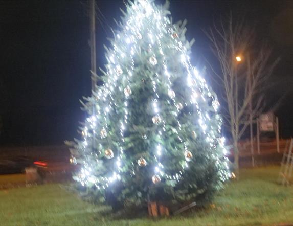 Image is of a Christmas tree lit up