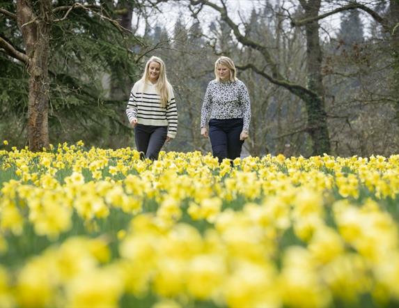 Image shows a mother a daughter walking through field of daffodils