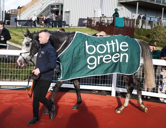 Picture of horse wearing being led around the ring