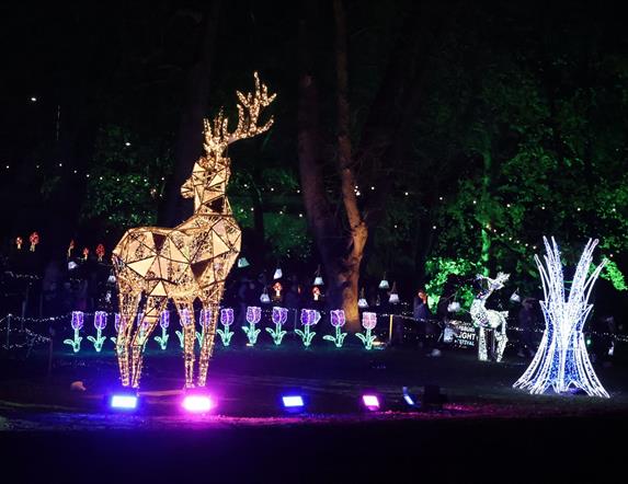 Image is of Lisburn Light Trail 2024 in Castle Gardens