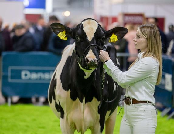 The Royal Ulster Winter Fair