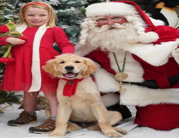 Image is of Santa Claus, a little girl and a dog