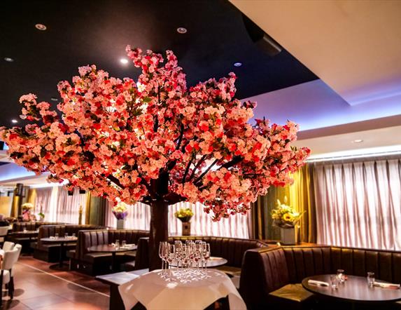 Image shows booths in restaurant with cherry blossom tree