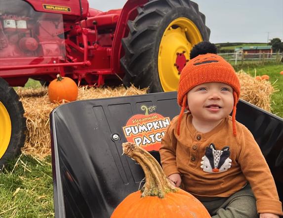 Baby with pumpkin sitting in wheel barrow in front of tractor