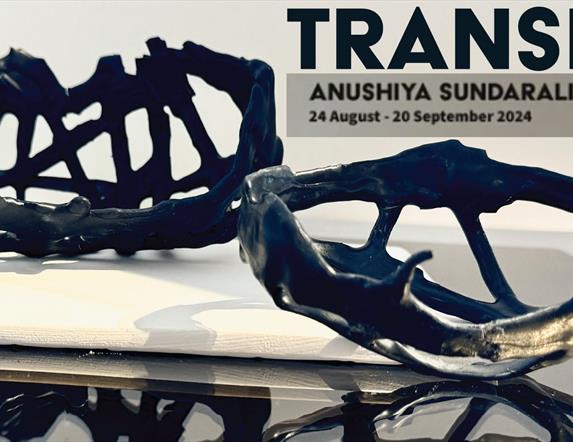 Poster for Transit Exhibition