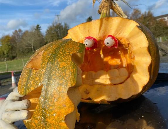 Pumpkin carving at Laganvale Farm