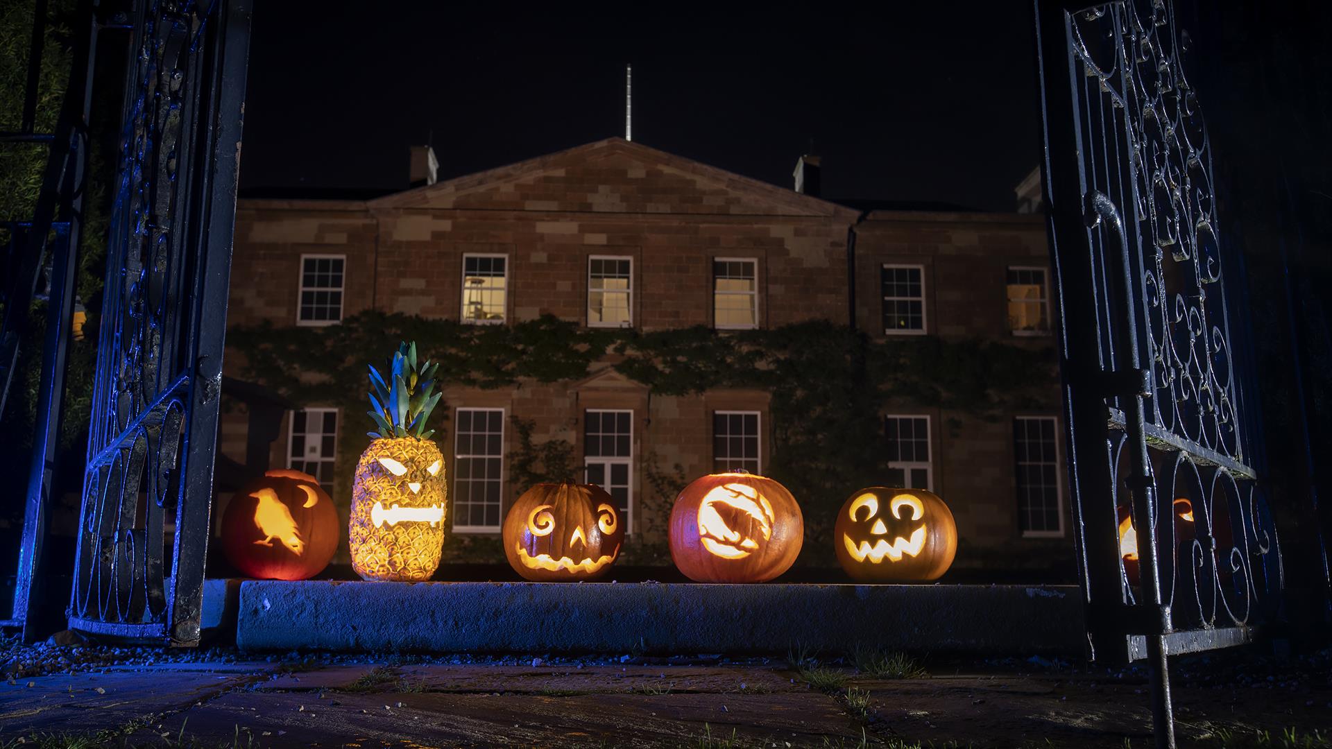 Hillsborough County - BOO! It's Halloween!