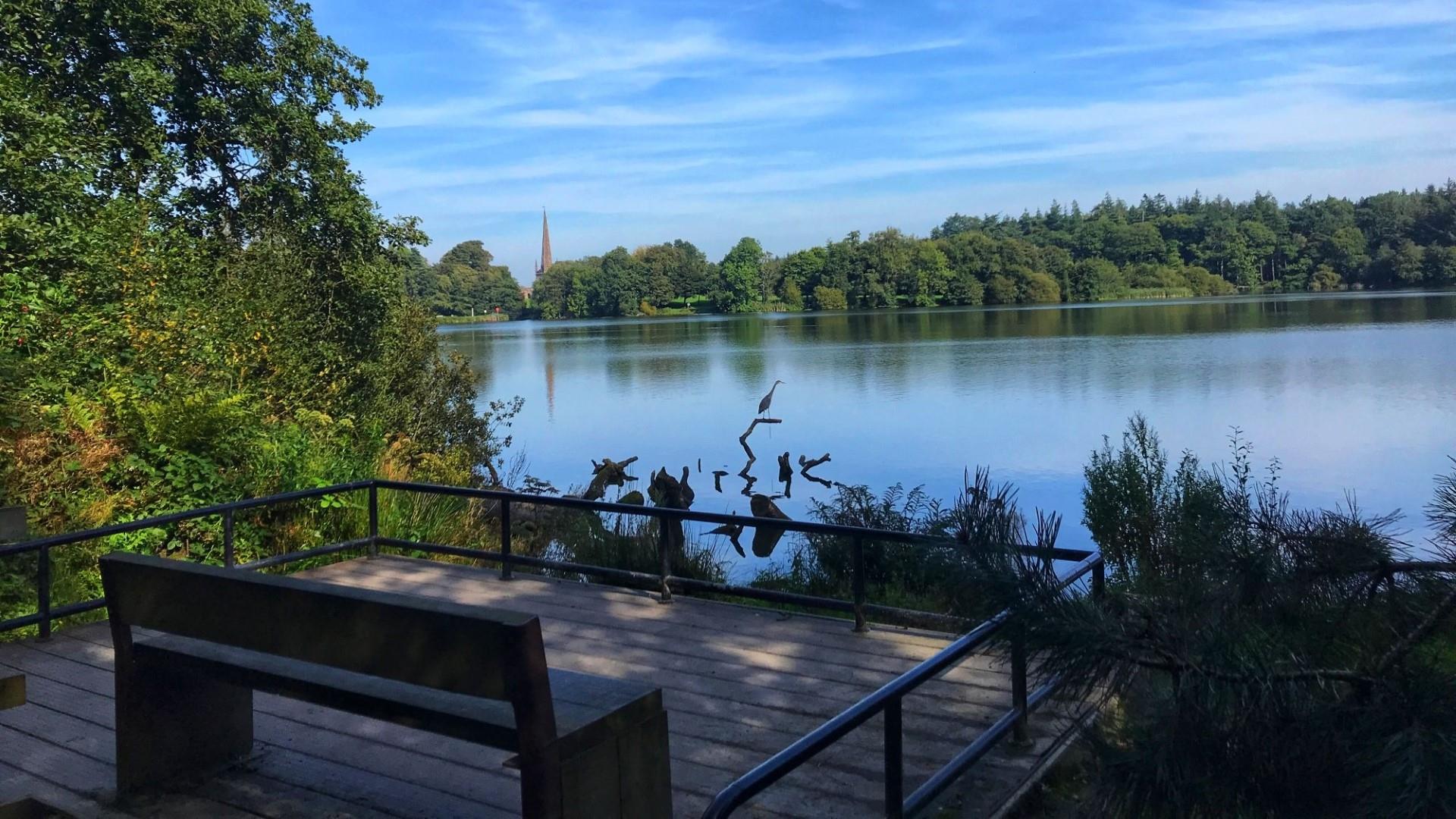 Hillsborough Forest & Lake