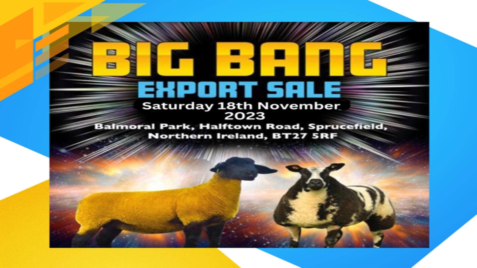 Big Bang Sheep Sale