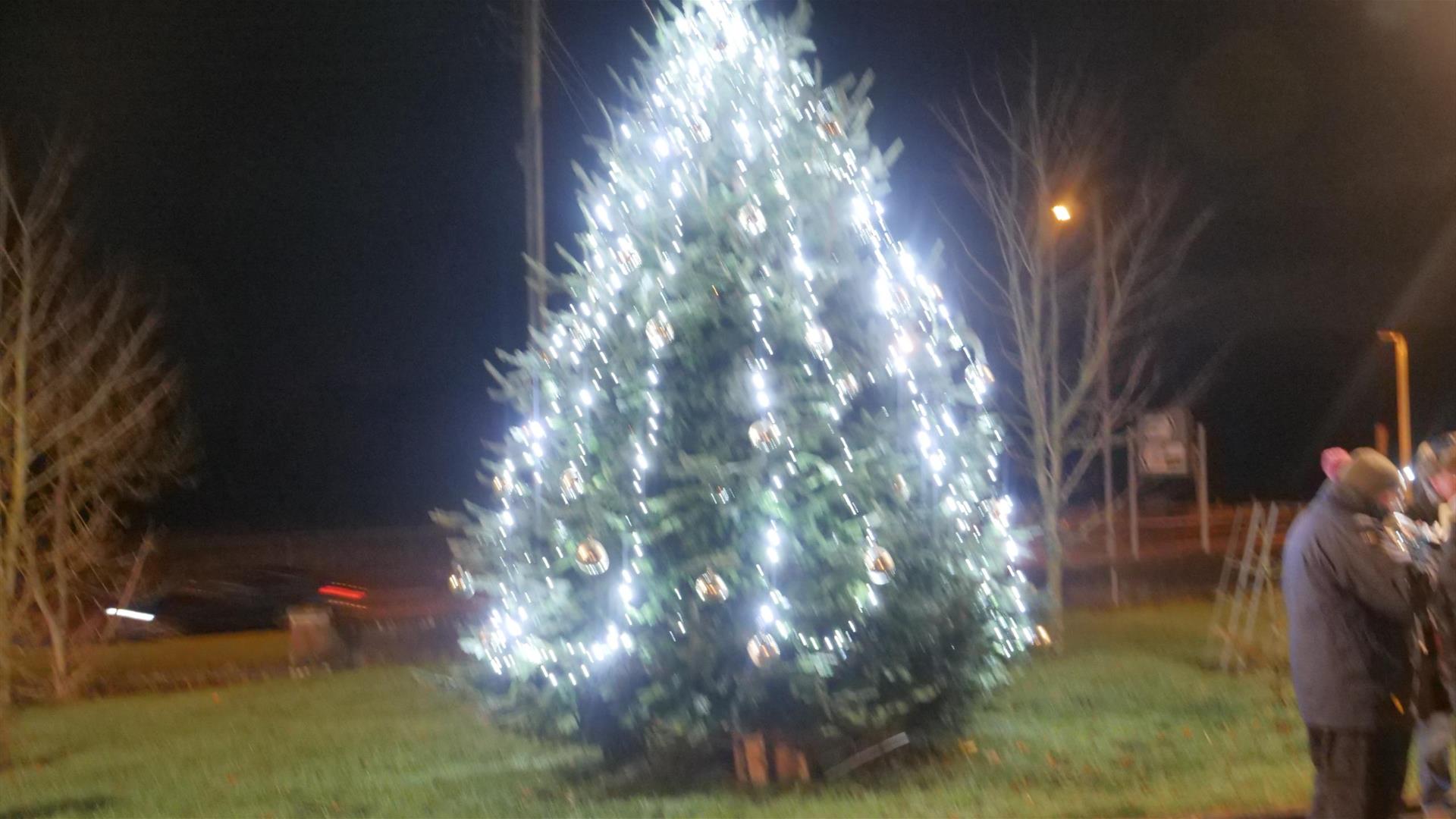 Image is of a Christmas tree lit up