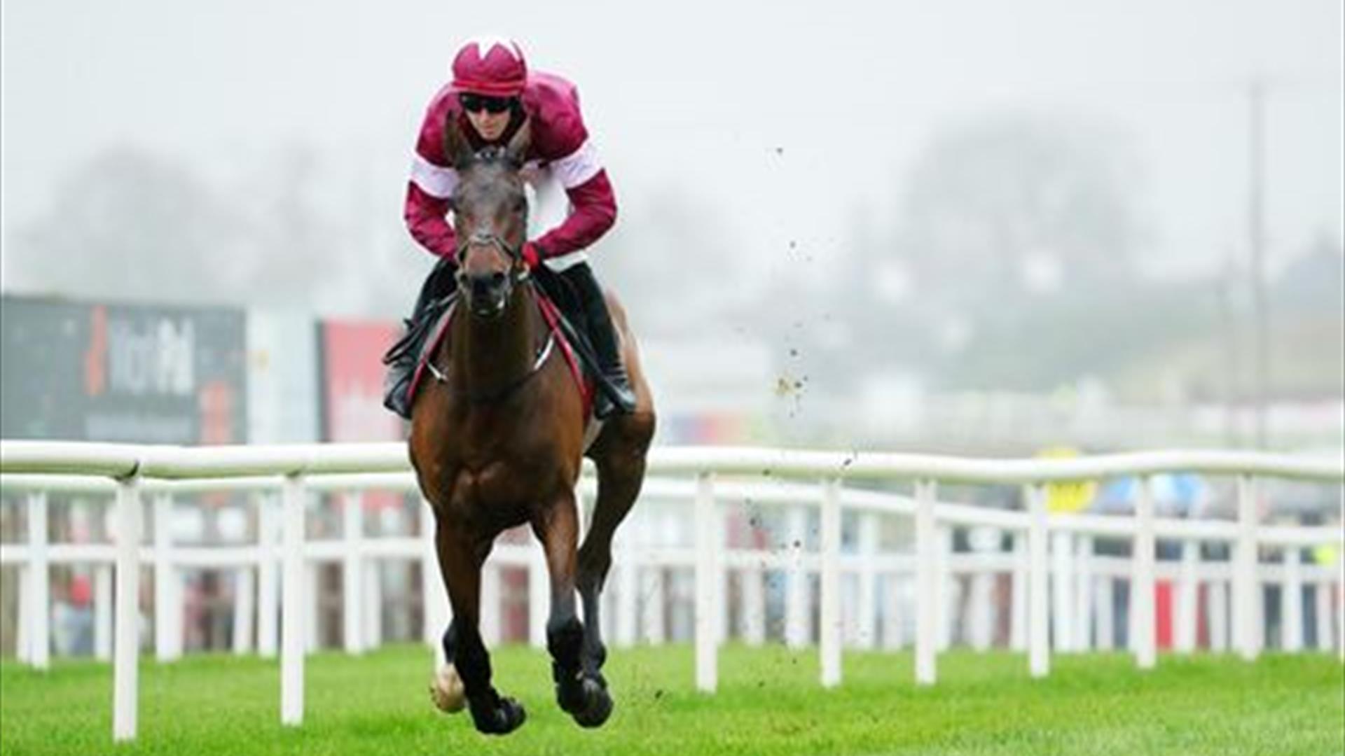 Image is of horse and jockey on the race course at Down Royal