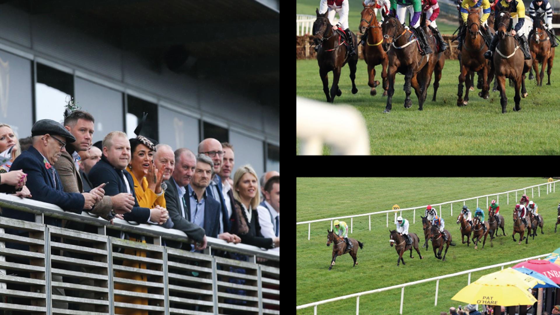 Image is of spectators and horses at Down Royal Racecourse