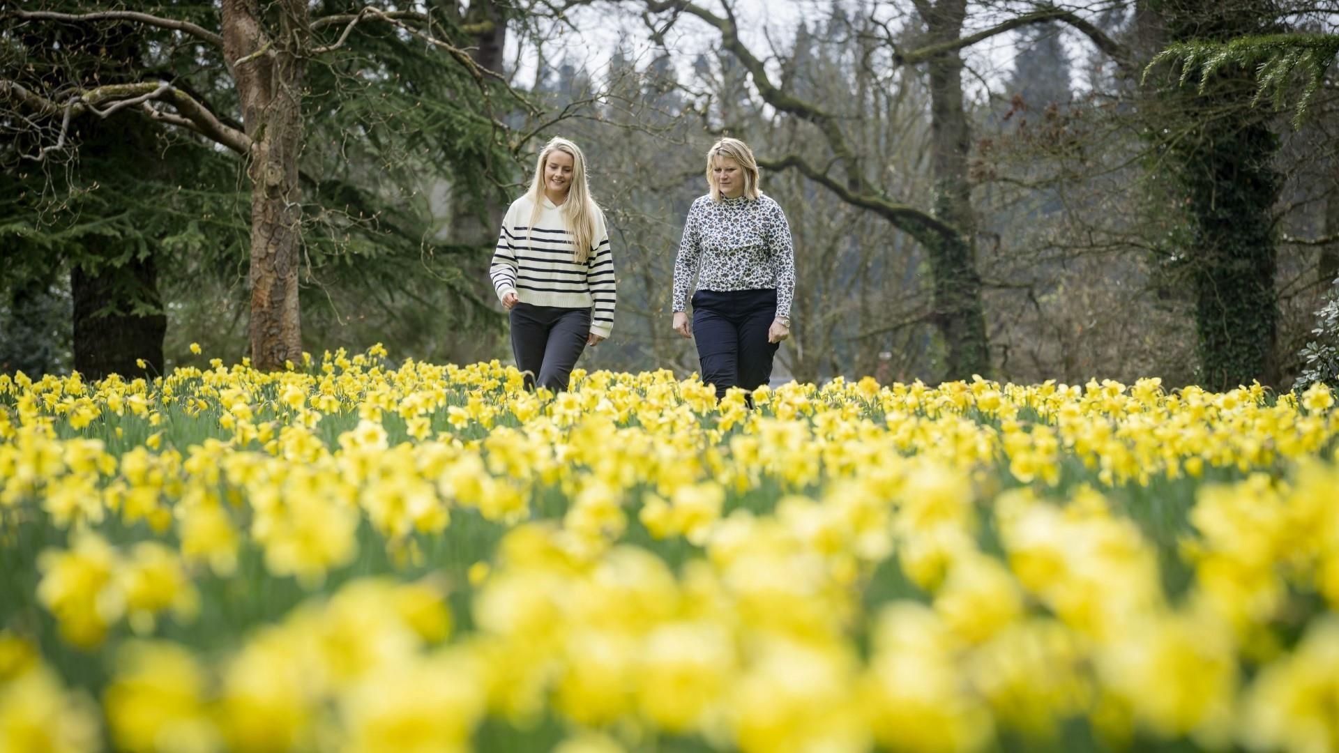 Image shows a mother a daughter walking through field of daffodils