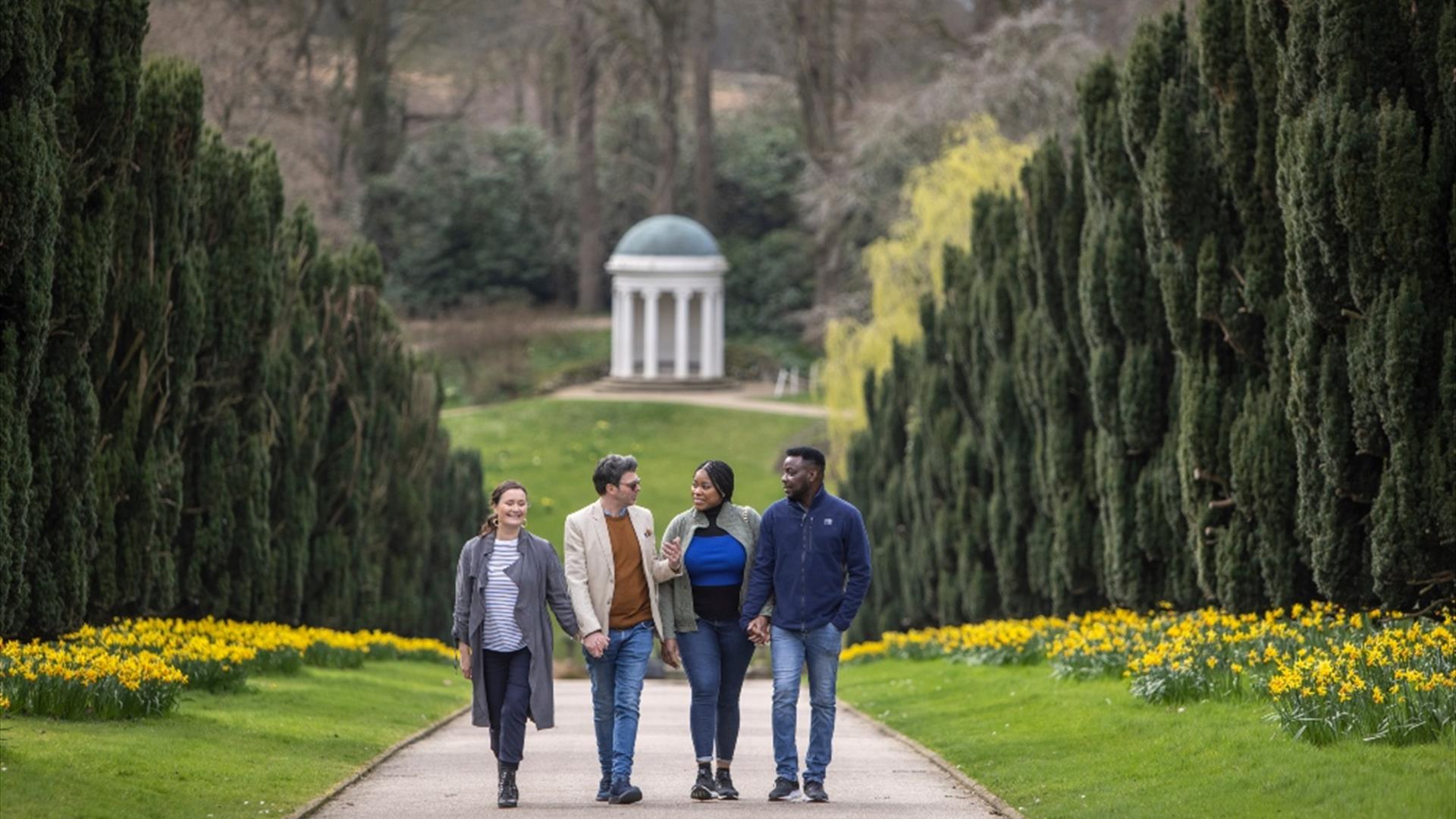 Two couples walking up a yew lined pathway with daffodils on either side.