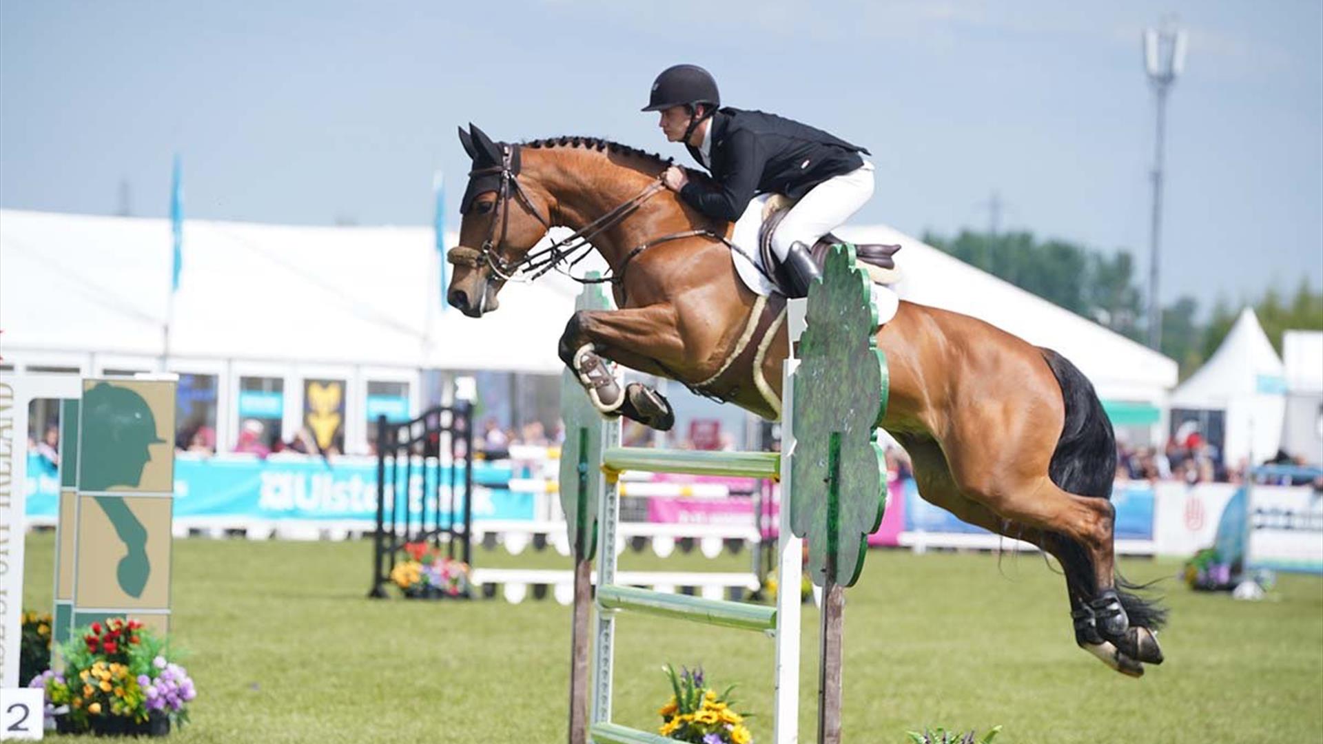 Image is of a horse and its rider jumping over a hurdle