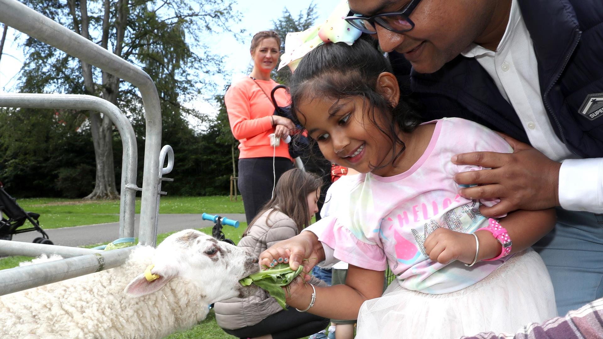 An image of a family feeding at a Lamb at the petting zoo  during Park Life.