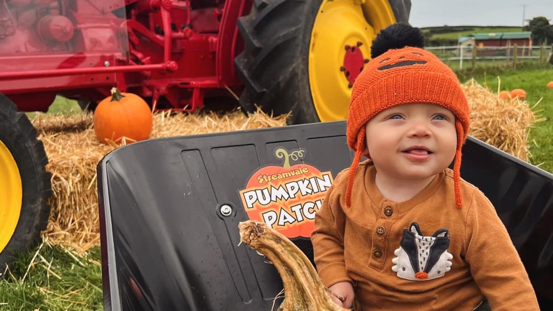 Baby with pumpkin sitting in wheel barrow in front of tractor