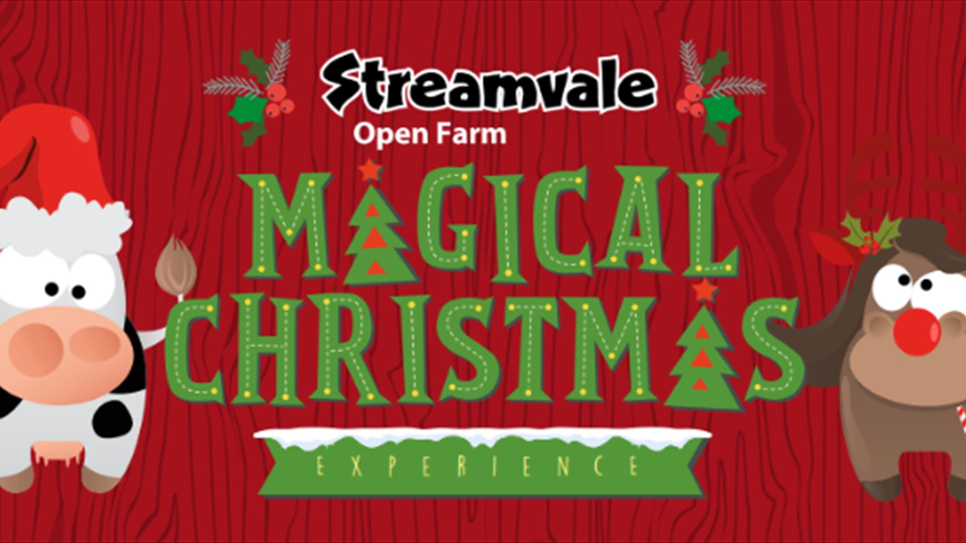 Image is advertising the Streamvale Farm Christmas Experience for 2024