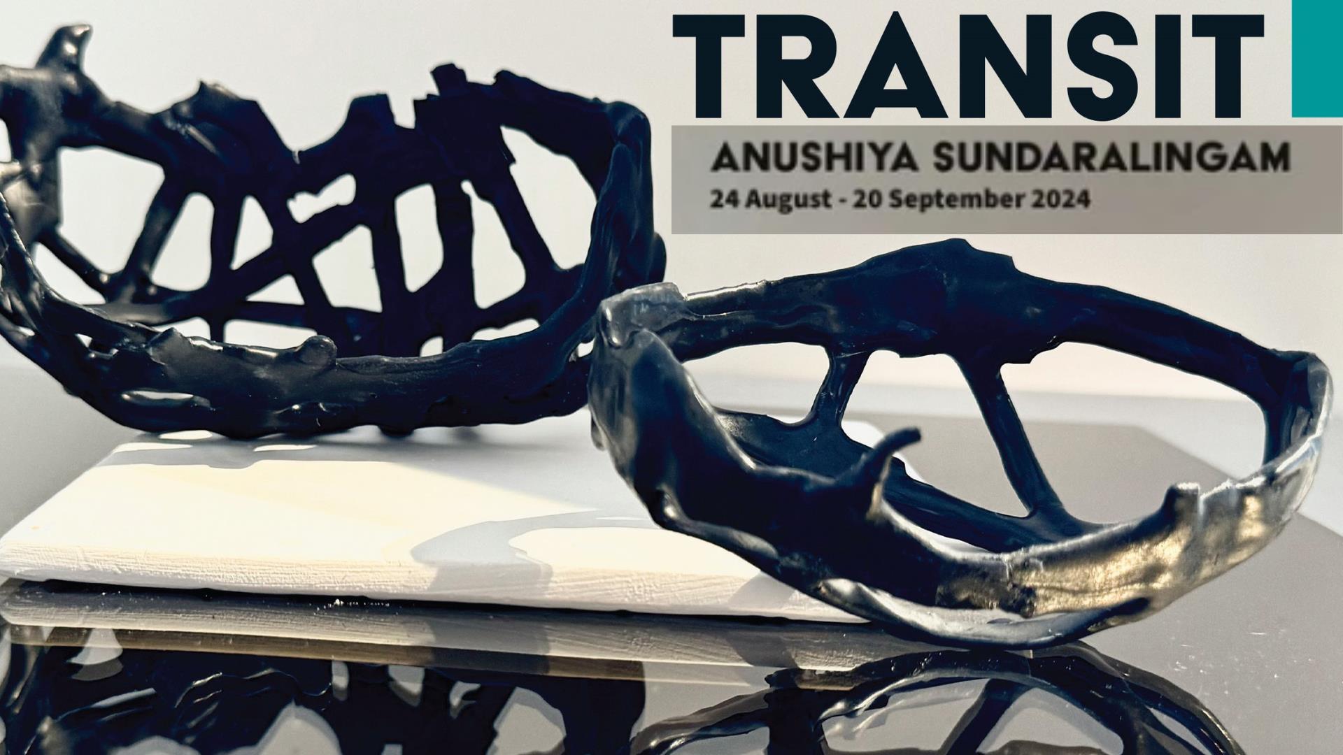 Poster for Transit Exhibition