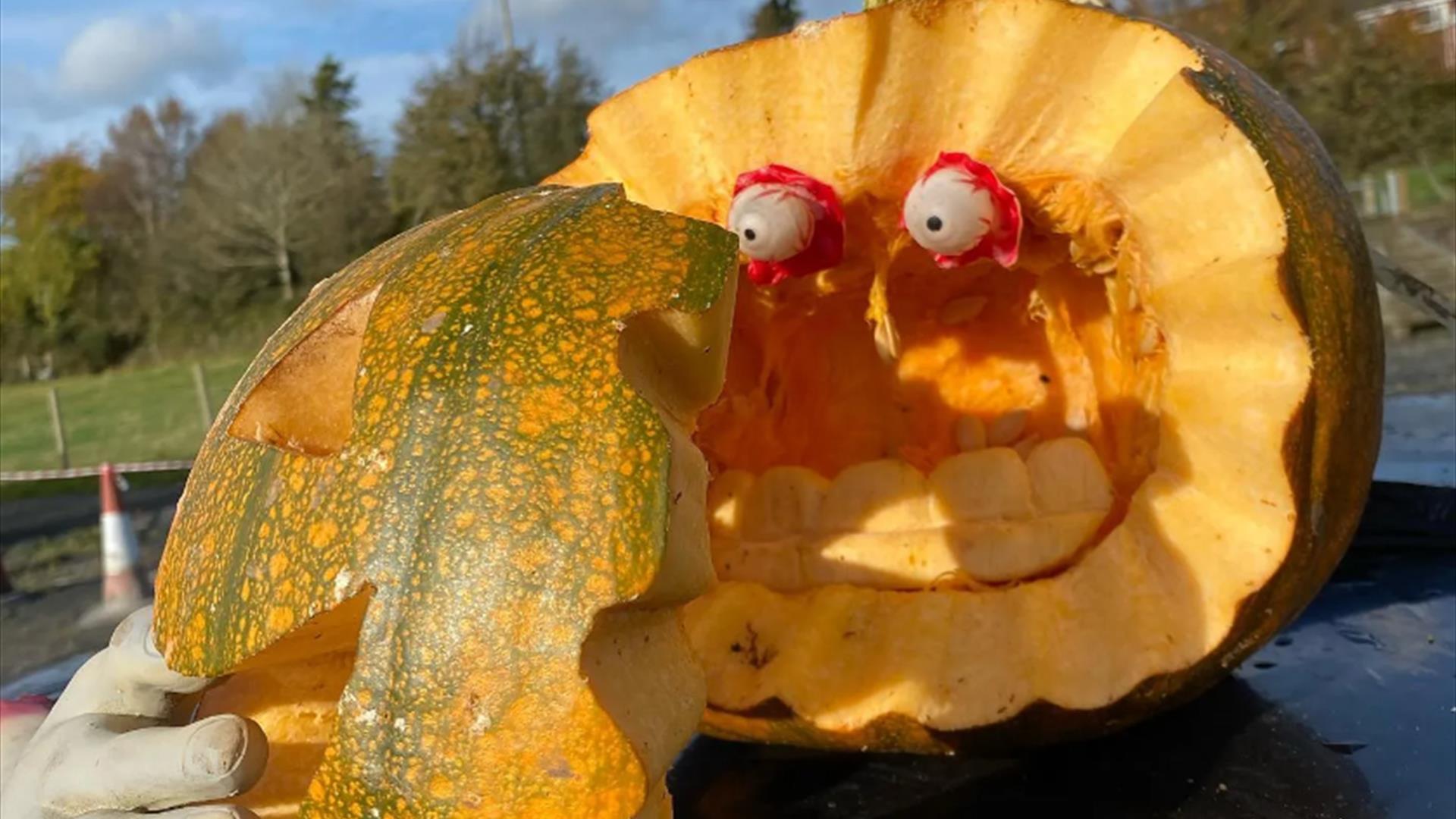 Pumpkin carving at Laganvale Farm