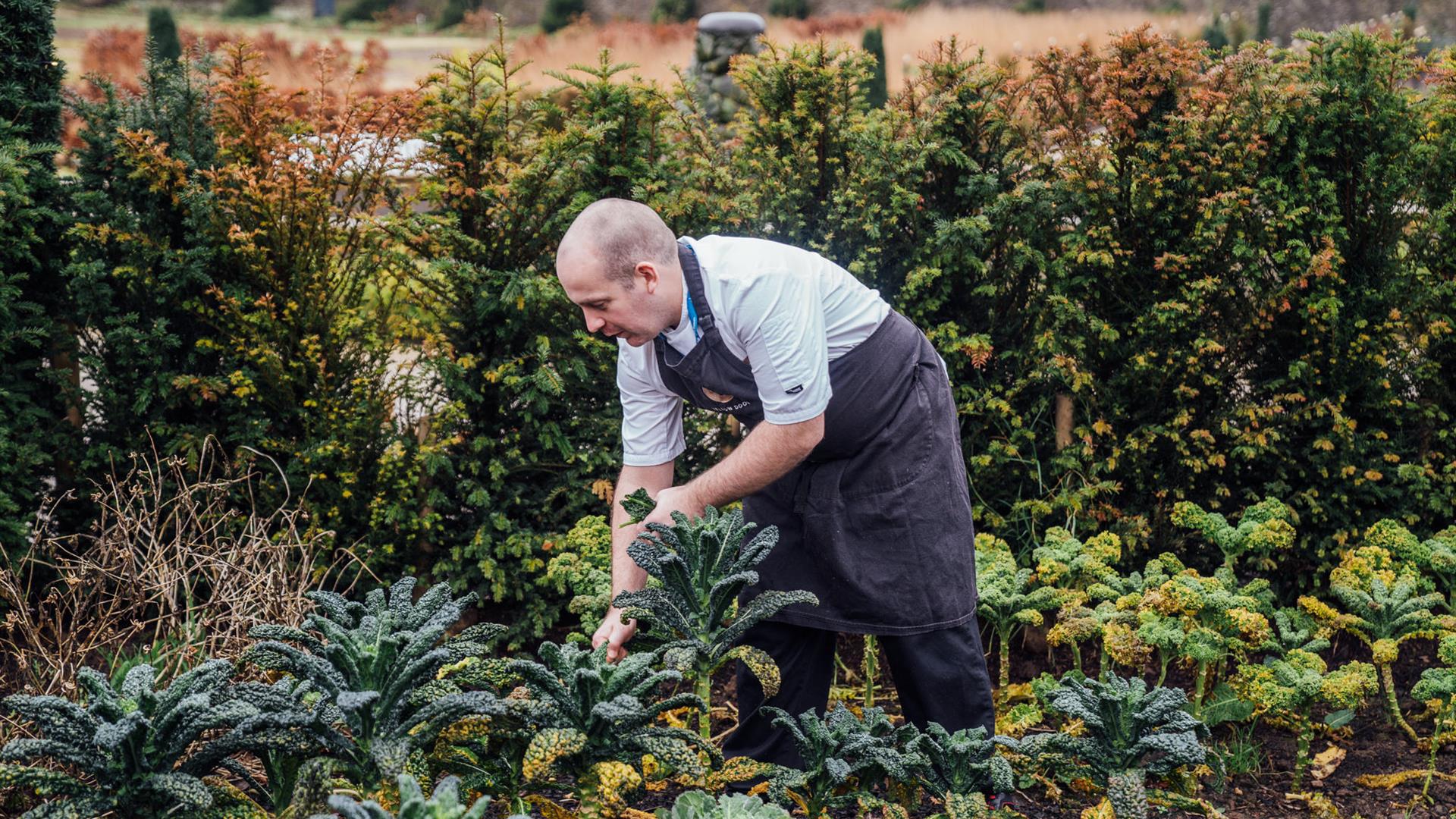 Gardener working in the gardens at Hillsborough Castle