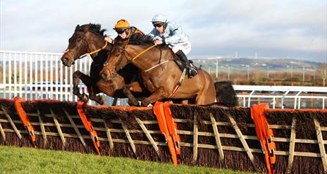 Boxing Day Races