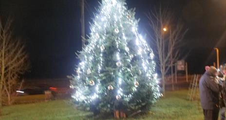 Image is of a Christmas tree lit up