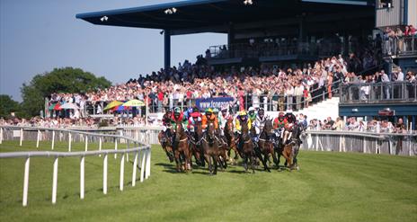 Horses racing at Down Royal Race Course