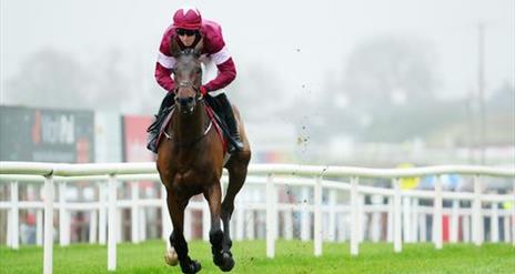 Image is of a horse and jockey on the race course at Down Royal