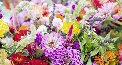 Image is of various types of flowers