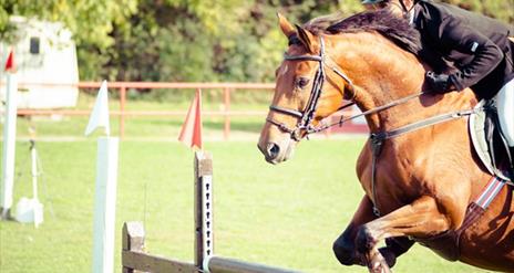 Rider and horse going over a jump