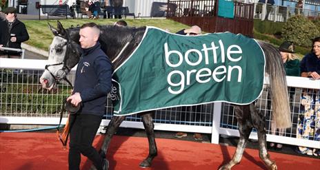 Picture of horse wearing being led around the ring