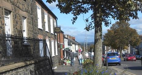 Image of Moira Main Street with flowers and trees