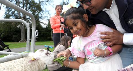 An image of a family feeding at a Lamb at the petting zoo  during Park Life.