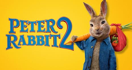 Poster for Peter Rabbit 2 Movie