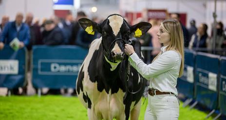 The Royal Ulster Winter Fair