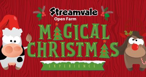 Image is advertising the Streamvale Farm Christmas Experience for 2024