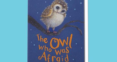 Book cover for The Owl who was afraid of the dark