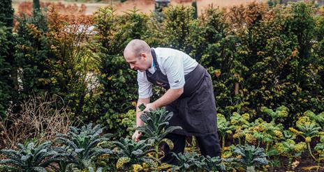 Gardener working in the gardens at Hillsborough Castle