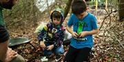 Children in Forest