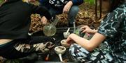 Children with Arts and Crafts in Forest