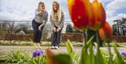 Two women are on the path way at Hillsborough Castle and Gardens. The woman on the left is pointing to orange tulips.