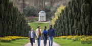 Two couples walking up a yew lined pathway with daffodils on either side.