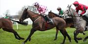 Horses with jockeys racing