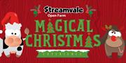 Image is advertising the Streamvale Farm Christmas Experience for 2024