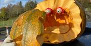 Pumpkin carving at Laganvale Farm