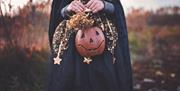 Child in Halloween costume holding pumpkin